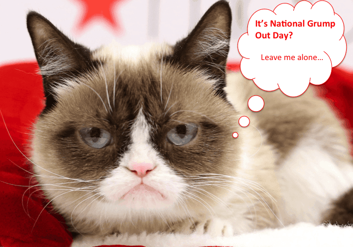 National Grump Out Day Cat
