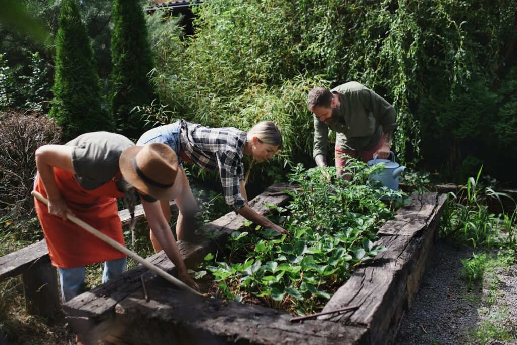 Community Garden