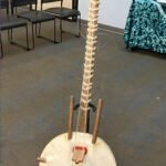 African Instrument Kora